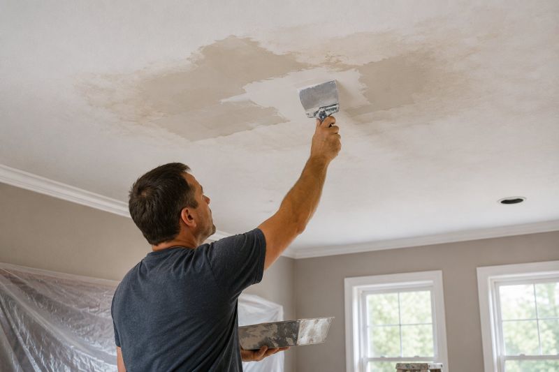 Ceiling Leak Repair Service in Katy, TX